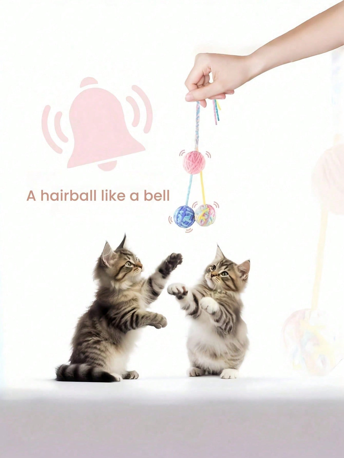 Pet Toys