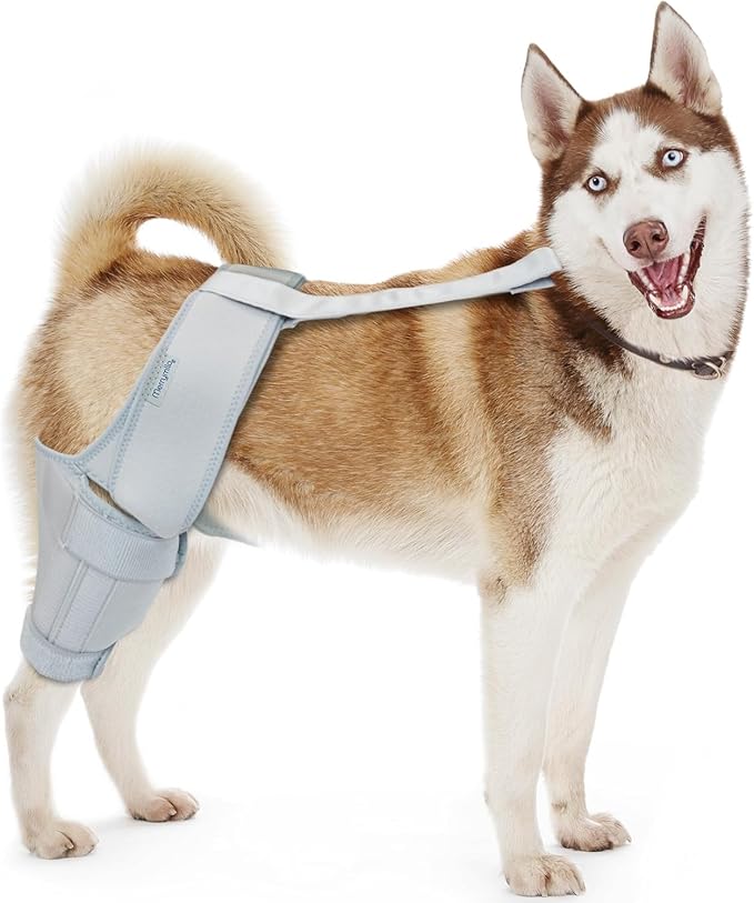 Pet Recovery Supplies