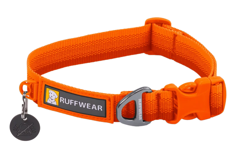 Pet Collar