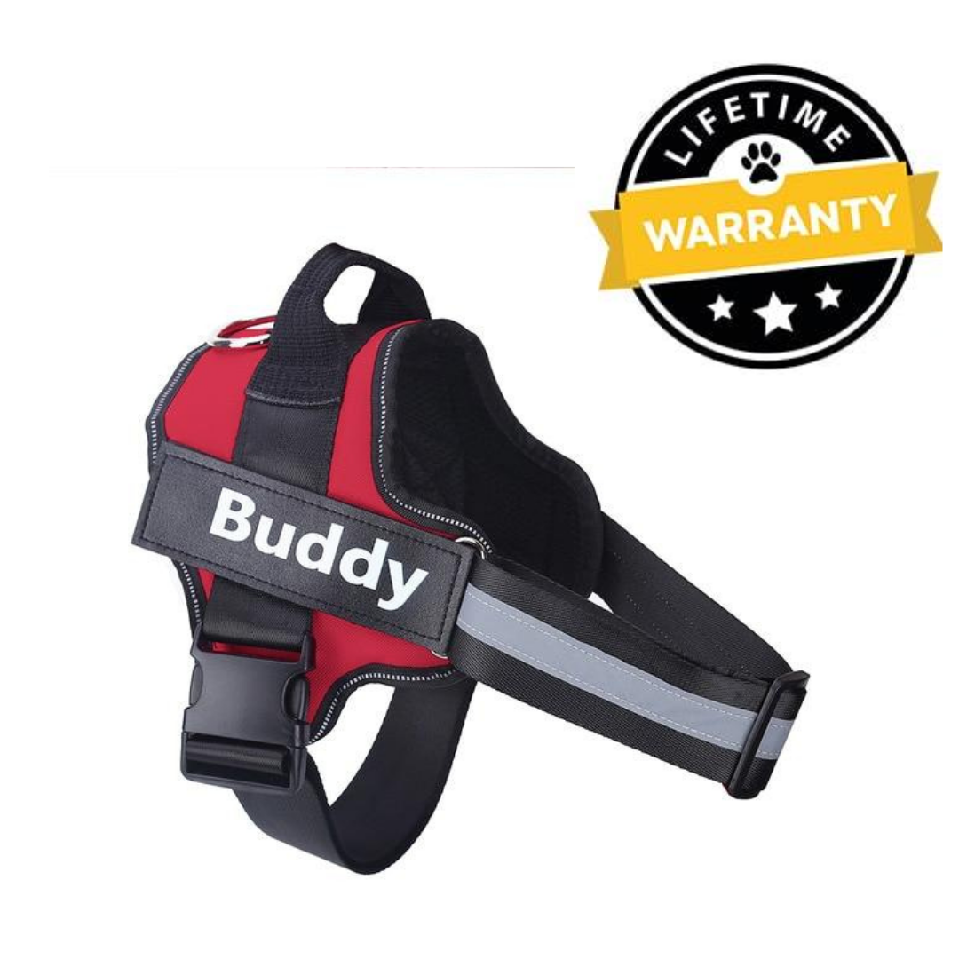 Dog Harness