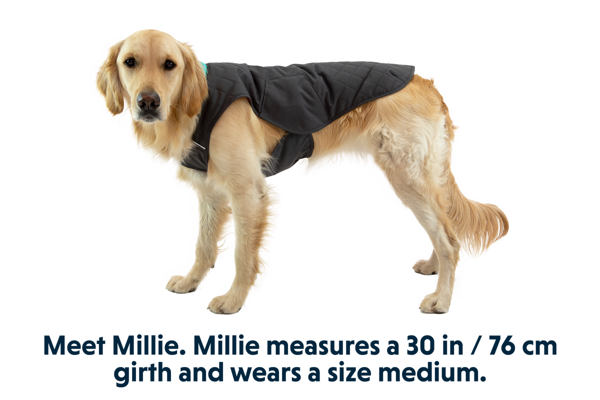 Stumptown™ Insulated Vest