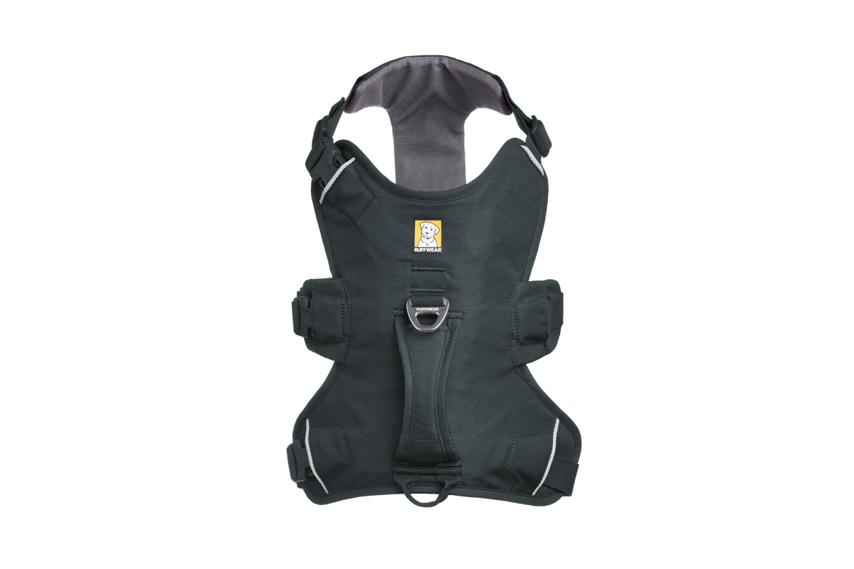 Web Master™ Dog Harness with Handle