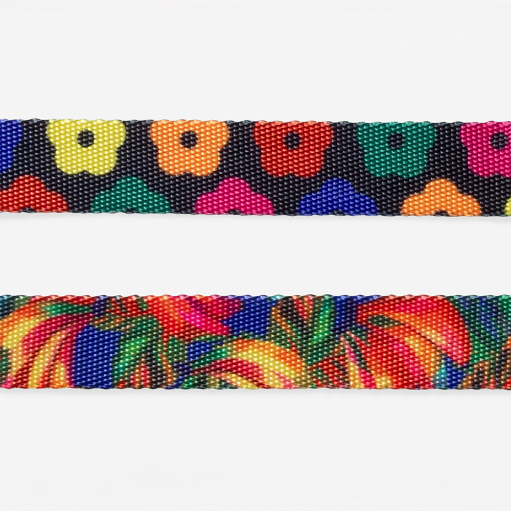 Samba | Collar
