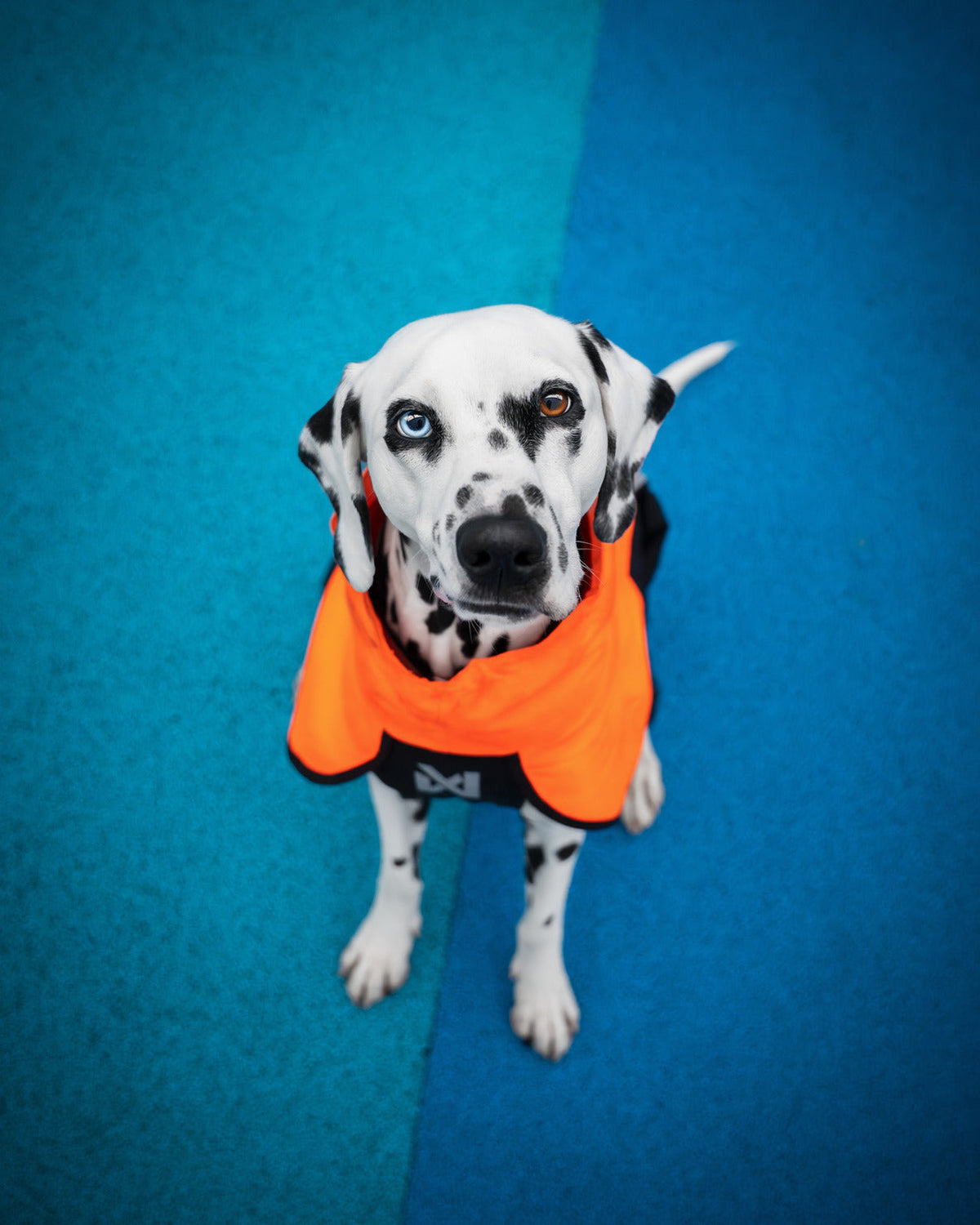 Fjord raincoat 2.0