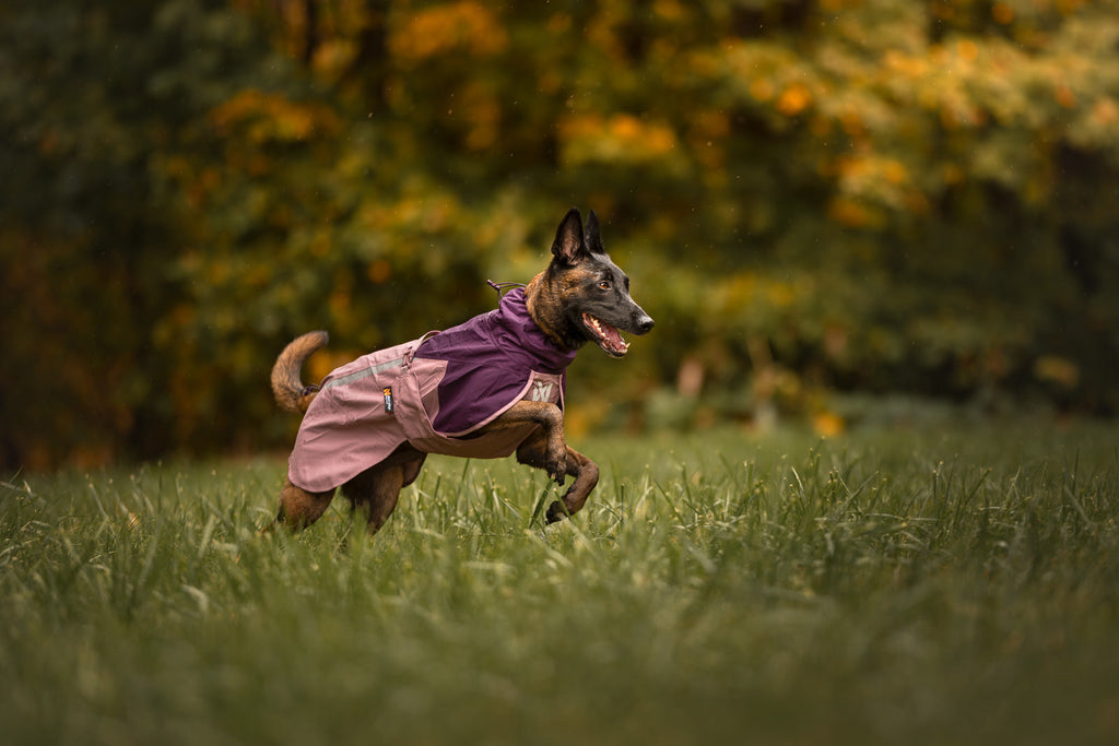 Fjord raincoat 2.0
